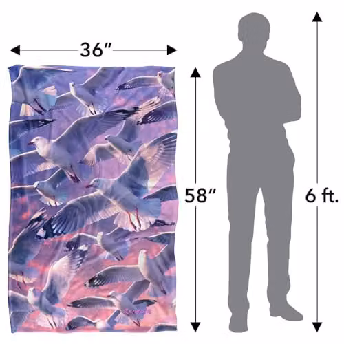 JQ Licensing Royce Mcclure Evening Seagulls Super Soft Silky Touch Fleece Throw Blanket, Blue, W: 91 cm, D: 147 cm – 4