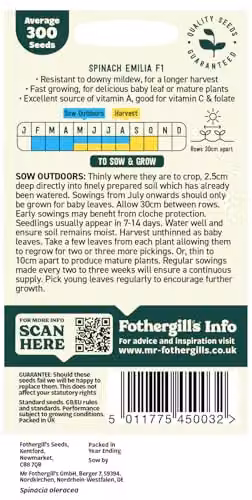 Mr Fothergill's Oh Sow Simple Spinach Green Vegetable Seeds – 2