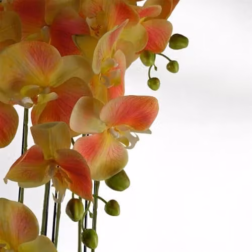 Botanik Yellow Peach Artificial Orchid Plant in Green Pot, Height: 110 cm – 4