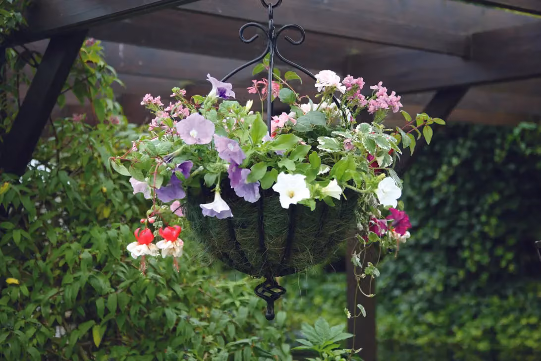Samuel Alexander Black Metal Spanish Garden Wall Hanging Basket, Diameter: 35 cm – 3