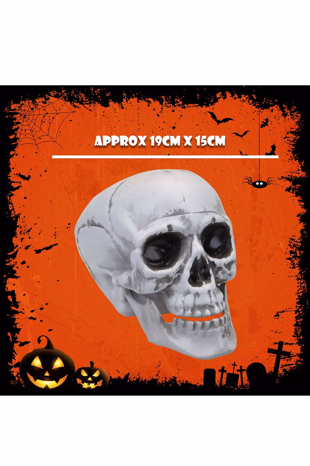 VFM e-Store Large Skull Decoration with Moving Jaw in White, Height: 19 cm – 2