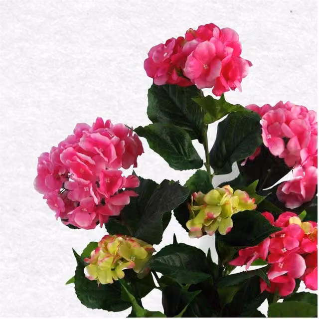 Dyzi Pink Artificial Hydrangea Plant in a Black Pot, Height: 90 cm, Width: 40 cm, Depth: 40 cm