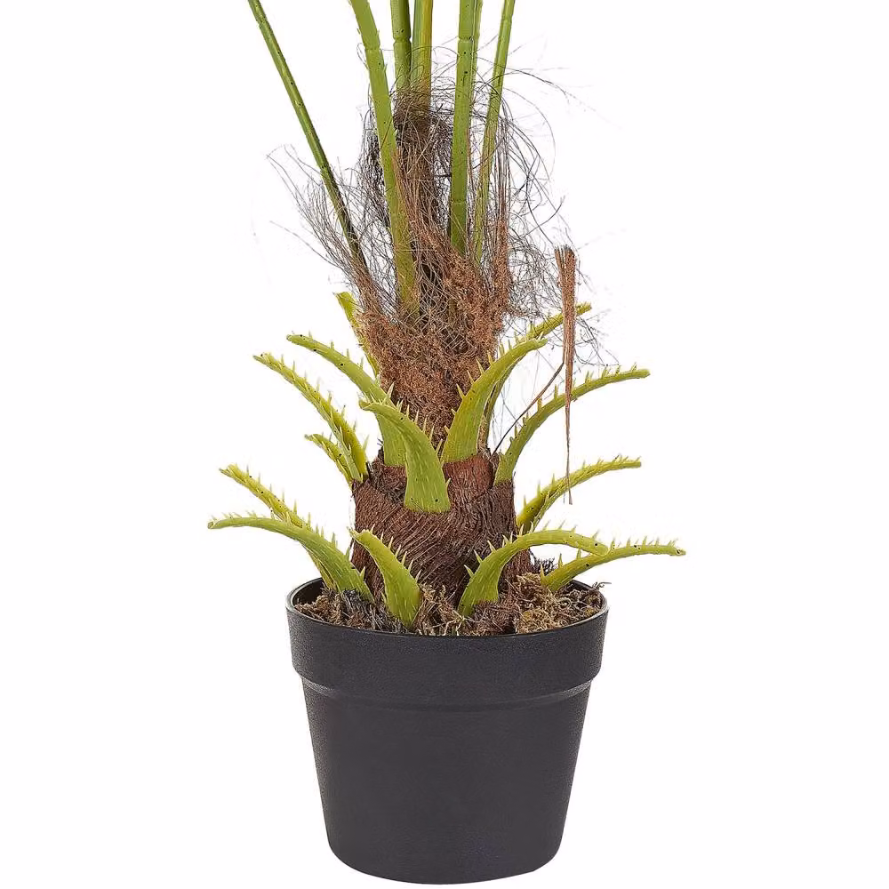 Wyld and Coco Artificial Potted Fan Palm, Height: 100 cm, Green and Black – 4