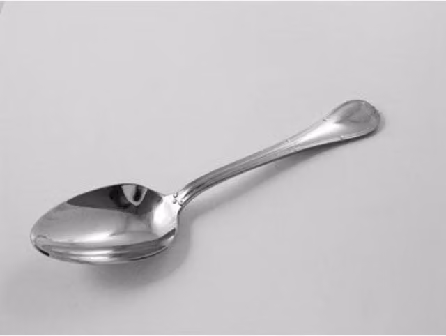 Orsina Sl Georgia Polished Silver Stainless Steel Dinner Spoon for Adults