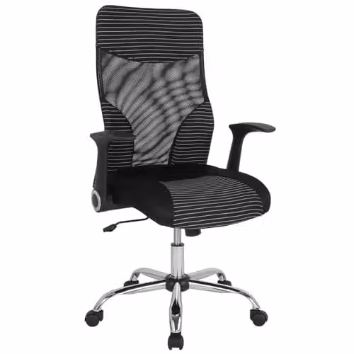 FWStyle Black Striped Ergonomic High Back Office Chair with Headrest and Armrests