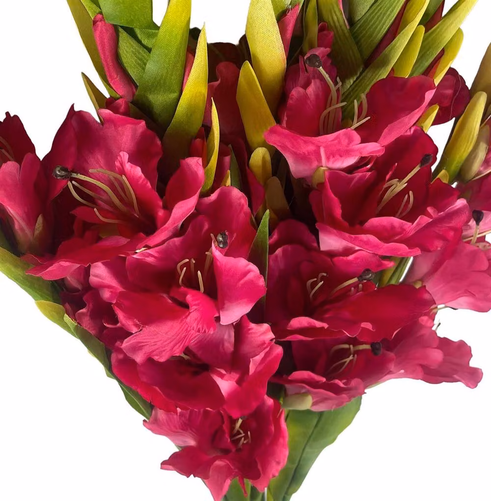 Botanik Pink Artificial Gladioli Stems, Pack of 6, Height: 115 cm – 5