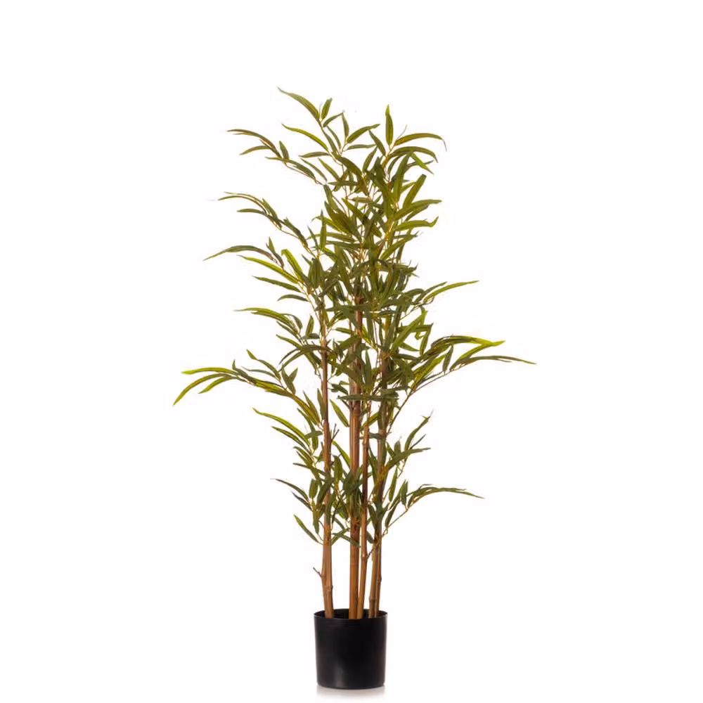 Scottish Everlastings Ltd Green Bamboo Tree with Rattan Details, Height: 90 cm – 2
