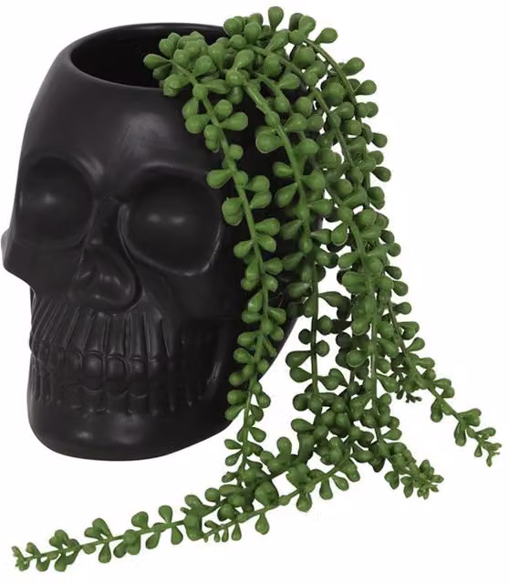 KDMK Black Skull Plant Pot for Tabletop Decor