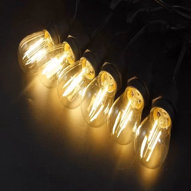 VOGREX 12-Pack LED Filament Bulbs, 2W Warm White 2700K, E27 Transparent Glass
