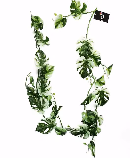 Realistic Variegated Monstera Artificial Trailing Hanging Plant in Green