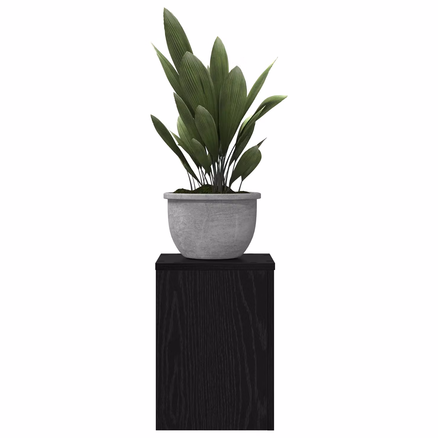 Berkfield Home Set of 2 Black Oak Plant Stands, W/D/H: 25 x 25 x 35 cm – 3