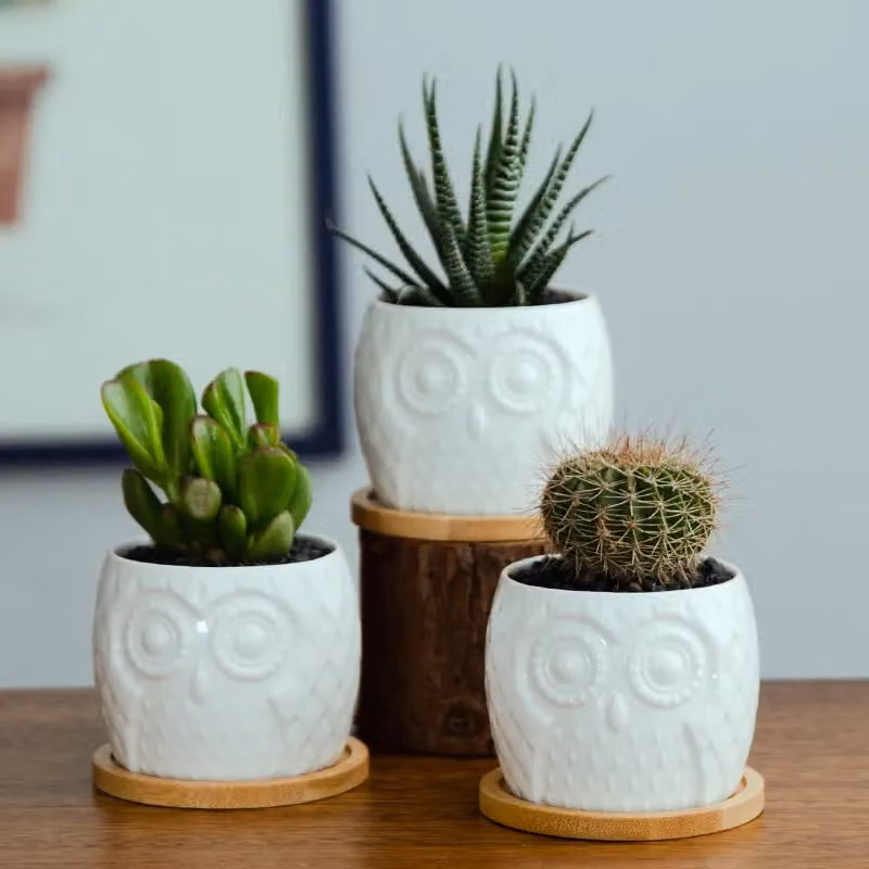Simpa 6-Piece White Owl Ceramic Decorative Plant Pots, H 7.3 cm x Dia 7.3 cm – 2