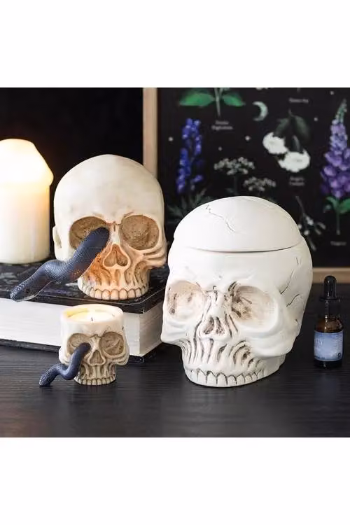 KDMD Ceramic Skull Tealight Holder with Snake in Beige – 3