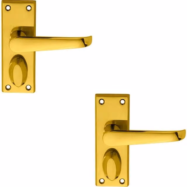 Loops 2x Pair Straight Handle on Short Privacy Backplate in Polished Brass, 118 x 42 mm