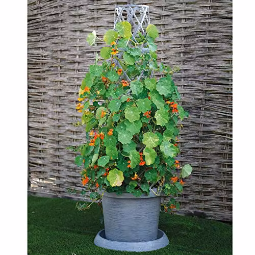 Thompson & Morgan Container Flower Tower Planter in Modern Grey with 5 Pots, Saucers and Frame for Climbing Plants – 2