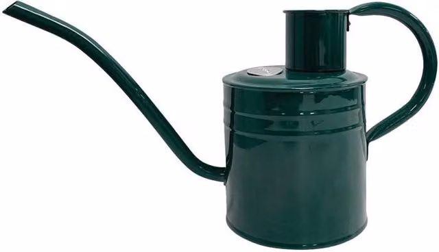 Kent & Stowe Metal Indoor Watering Can with Long Spout, Green, 1 l