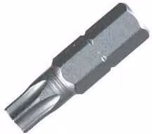 PBSL Group Silver Torx Screwdriver Bit for Masonry Screws