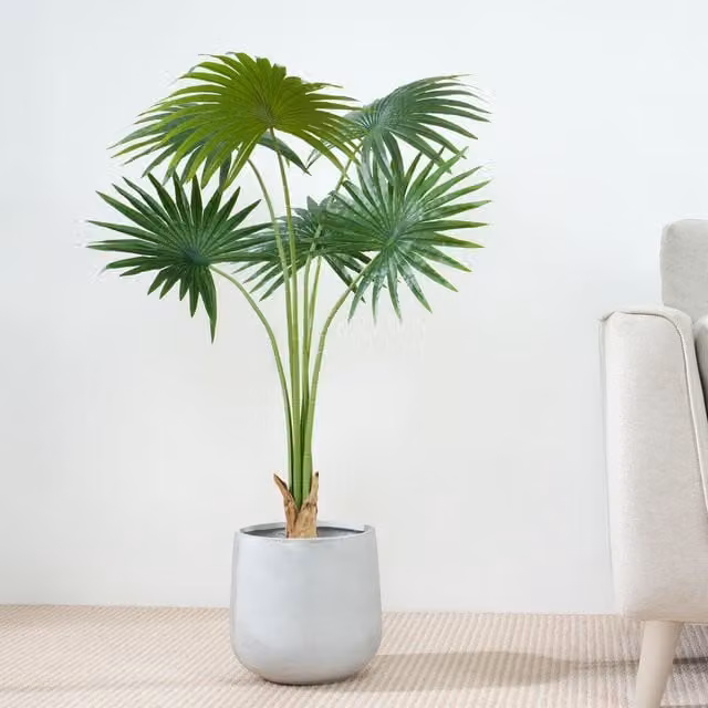 MCC Direct Artificial Green Fan Palm Tree with Plastic Planter Pot, Height: 100 cm