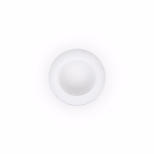Netlighting White Round LED Flush Ceiling Lamp with G9 Bulb