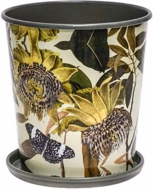 Lemon Pavilion Furniture and Decor Kew Botanical Retreat Planter with Saucer, Green, W: 16 cm, D: 16 cm, H: 18 cm – 1