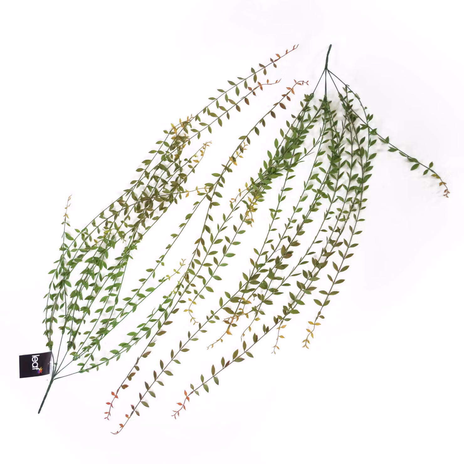 Leaf Artificial Hanging String of Pearls in Green – 3