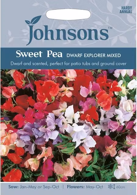 Johnsons Dwarf Explorer Mixed Sweet Pea Multicolour Flower Seeds