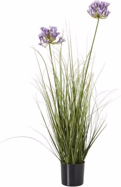 Hill Interiors Agapanthus Plant Pot in Green