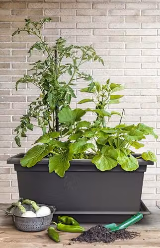 Gardenico Magnus Self-Watering Mobile Living Wall Planter Trough in Stone Grey, W79 x D38 x H39 cm – 4