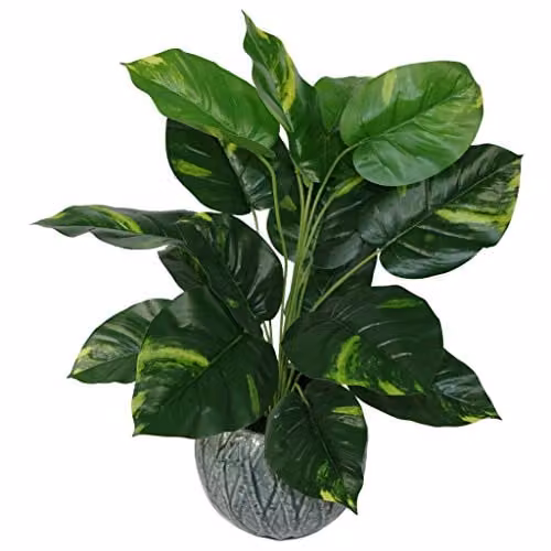 Leaf Design UK Artificial Devil's Ivy Potted Plant in Green, Height: 60 cm – 1