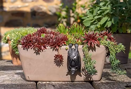 Jardinopia Bat Hanging Plant Pot Hanger, Bronze, L11 x W5.5 x H4.5 cm – 6