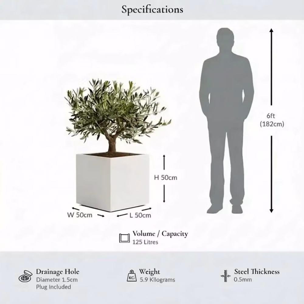 Woven Wood Matte White Square Planter with Galvanised Steel, W/D/H: 50 x 50 x 50 cm – 2