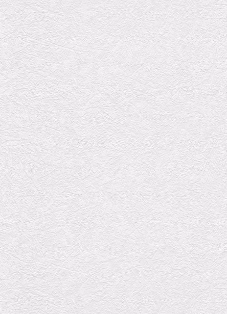 Erismann White Paintable Plaster Effect Vinyl Wallpaper