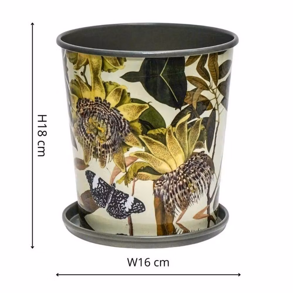 Lemon Pavilion Furniture and Decor Kew Botanical Retreat Planter with Saucer, Green, W: 16 cm, D: 16 cm, H: 18 cm – 5