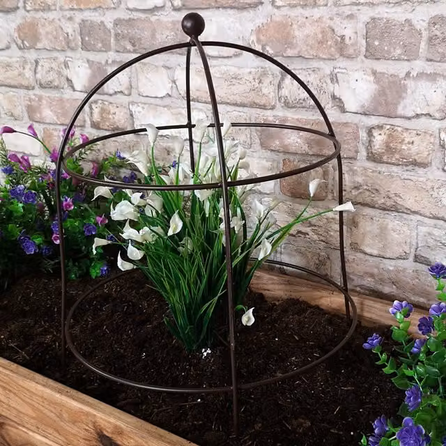 Samuel Alexander Heritage Heavy Duty Steel Garden Plant Support Cloche in Brown, H 52 cm x W 30 cm x D 30 cm