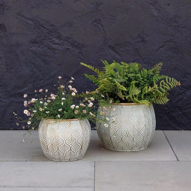 Primrose Set of 2 Metal Spherical Decorative Tabletop Planters in Beige and Gold