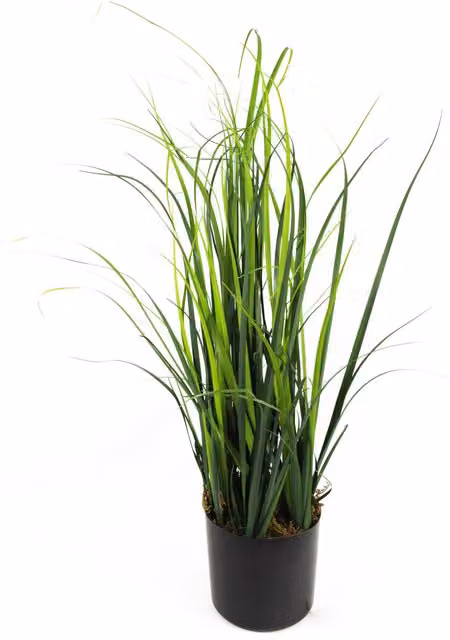 Leaf Design UK Green Artificial Lemongrass Grass Plant