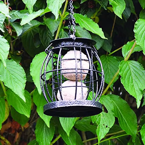 Natures Market BF043 Squirrel Resistant Suet Ball Feeder in Bronze and Black Metal – 3