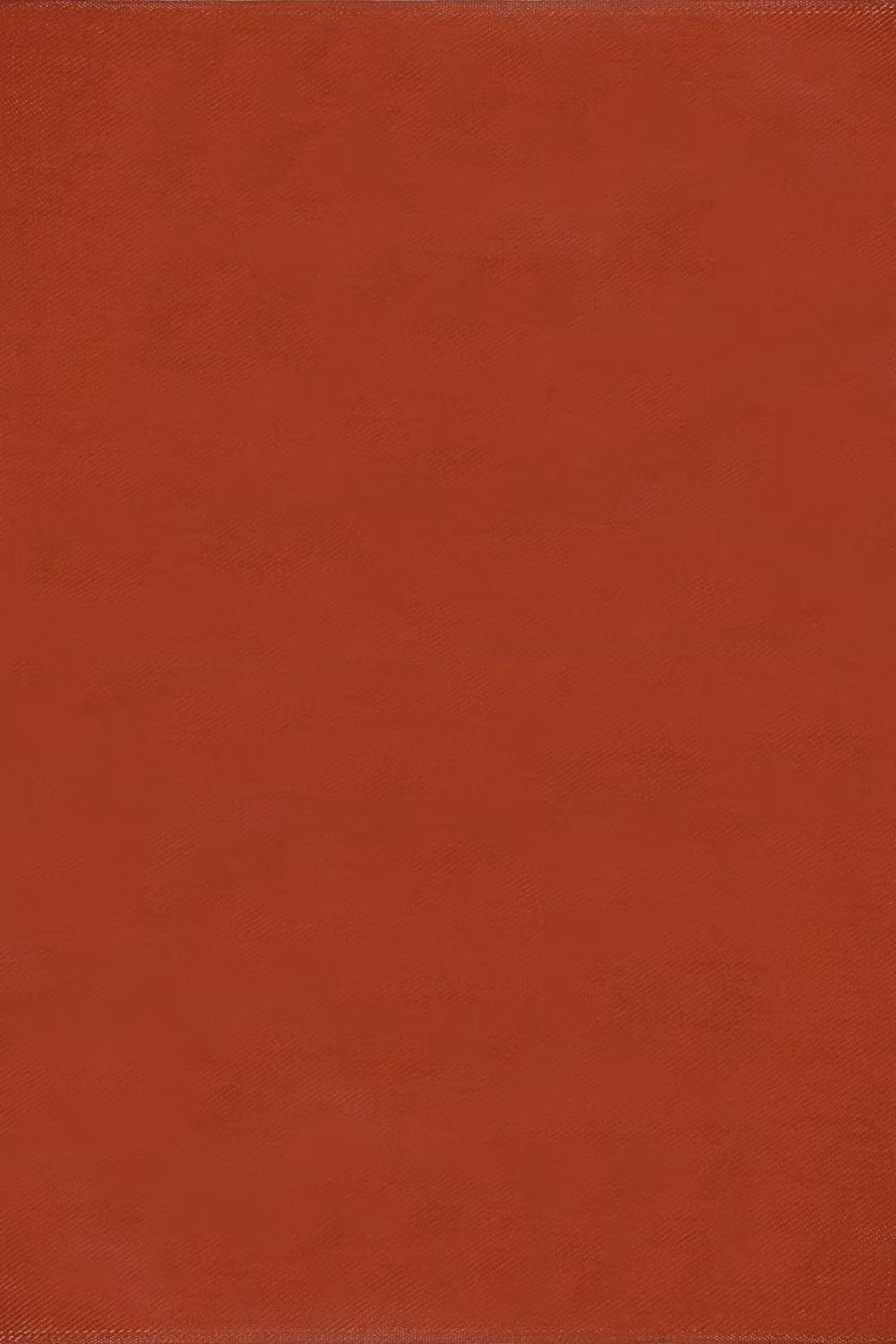 THE RUGS Reversible Weatherproof Outdoor Terra Rug Solid Urban 1000 in Terracotta, W: 180 cm, D: 270 cm – 2