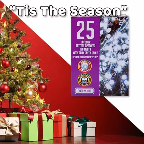 VFM e-Store Christmas Cold White String Lights with 25 Bulbs and 2m Length, W/H: 9.9 x 7.2 cm – 7