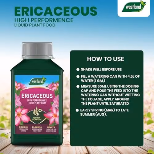 Westland Ericaceous Liquid Plant Food and Tonic, 1L – 4