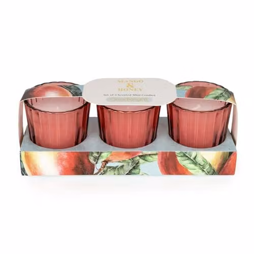 Candlelight Set of 3 Pink Mango and Honey Scented Votive Candles in Glass – 1