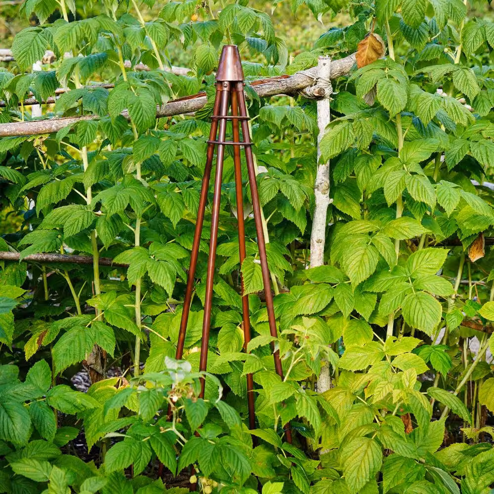 Lemon Pavilion Furniture and Decor Bronze Steel Garden Obelisk Support, W/D/H: 30 x 30 x 120 cm – 2