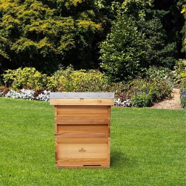 Actiasbee National Cedar Bee Hive Starter Kit with Frames and Wax in Brown