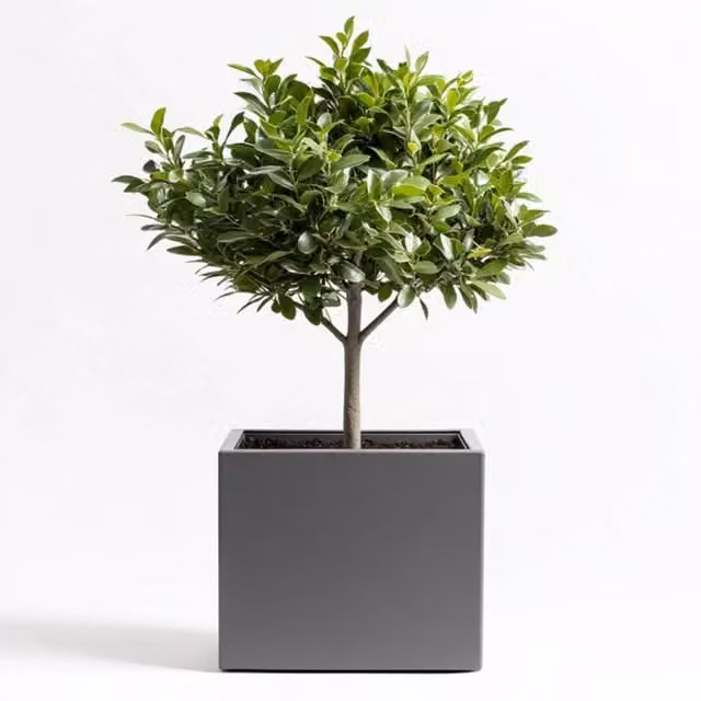 Grey Galvanised Steel Square Planter Tub, Width: 60 cm