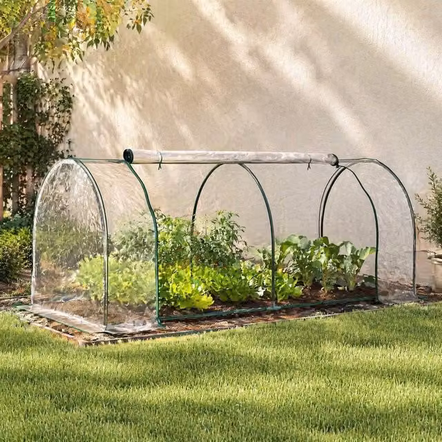 STILVORA Mini Greenhouse with Transparent Zipped Doors, W/D/H: 250 x 100 x 80 cm