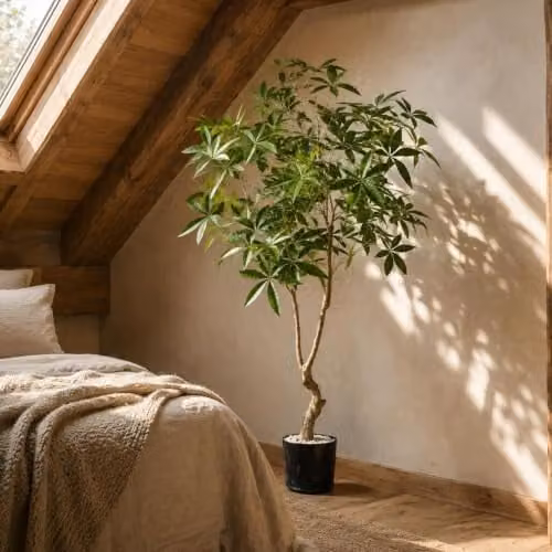 Botanik Realistic Artificial Money Tree Pachira Faux Plant, Green, H 180 x W 90 x D 90 cm