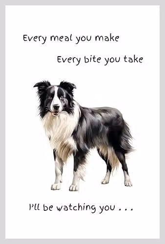 Animal Crackers Border Collie Funny Dog Tea Towel, White and Grey Cotton, 66 cm – 4