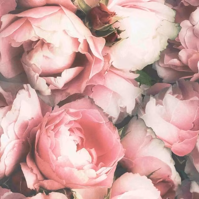 Superfresco Easy Blossom Floral Wallpaper in Pink