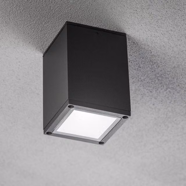 CGC Lighting LEN Outdoor Surface Mount Downlight Spotlight in Dark Grey