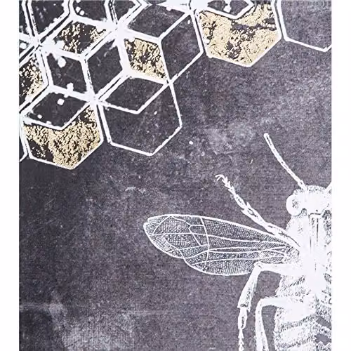 Graham & Brown Bee Happy Typography Printed Canvas Wall Art in Black, W: 50 cm, H: 40 cm – 3